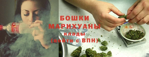 сатива Волоколамск