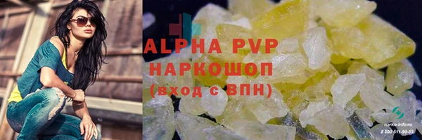 сатива Волоколамск