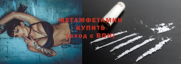сатива Волоколамск