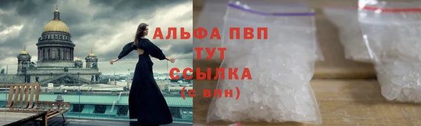 сатива Волоколамск