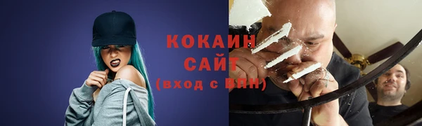 сатива Волоколамск