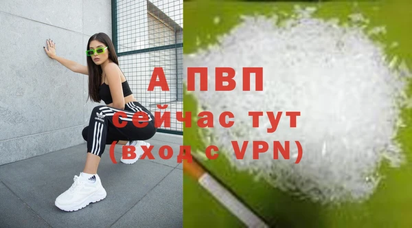 сатива Волоколамск