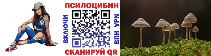 Галлюциногенные грибы Psilocybe  Южа 